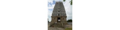 226. திருஅறையணி நல்லூர்